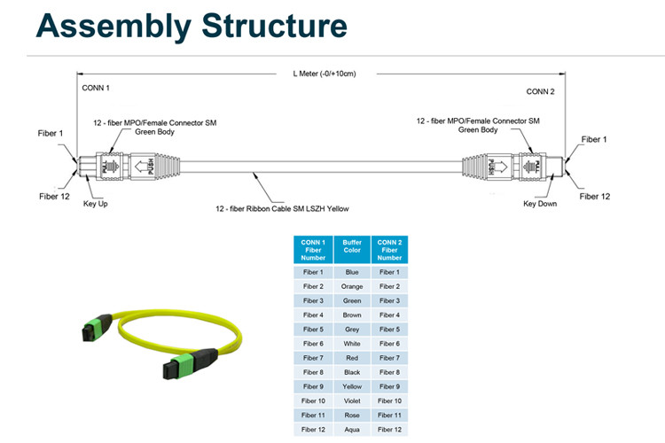 SM OS2 8F 12F 24F Male Female Type A 100% tested MPO MTP Fiber Cable