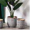 Buy cheap New design macetas home floor decorative planters indoor outdoor big large garden ceramic flower pots for plant from wholesalers