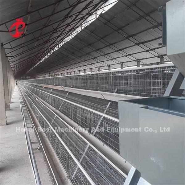 Buy cheap Efficiency Layer Battery Cage Price In Nigeria Emily from wholesalers
