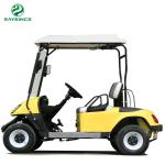 CE approved electric golf buggy 2 seats mini golf cart made in China electric