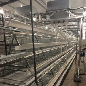 Buy cheap Large Scale Farm Automatic Poultry Feeder System Quick Conveying Speed from wholesalers