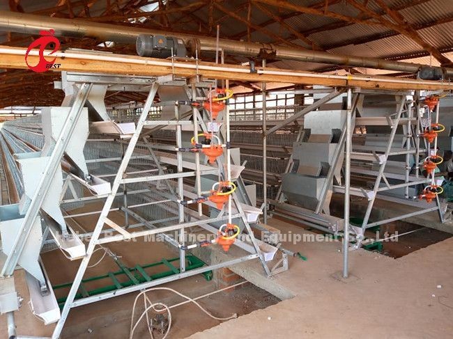 Ladder Type Chicken 2.4mm Automatic Battery Cage System In Poultry Emily