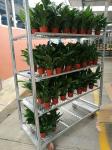 Display Dutch Flower Cart Ez Racks Danish Container Galvanizing