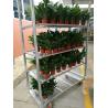 Buy cheap Plywood Danish Trolley Waterproof Strong High Load Bearing Hot Galvanizing from wholesalers