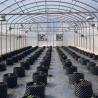 Buy cheap Custom Tunnel Greenhouse 8x30m Agricultural Greenhouse Kit For Planting from wholesalers