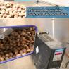 Buy cheap CE Certified Dry Cracking Pecan Shelling Machine 100000 Nuts Capacity 220V Available from wholesalers