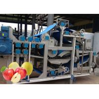 Buy cheap Safety SUS 304 Apple Processing Equipment  Apple Puree Processing Plant product