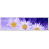 Buy cheap 19 Inch Bar Type Lcd 1920x360 Ultra Wide Stretched Lvds Interface 30 Pins from wholesalers