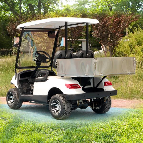 Buy cheap LSV 2 seater Golf Cargo Golf Cart With Rear Box 48 V-72 V New Energy Vehicles from wholesalers
