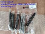SDLG injector 4110000991004 /13053066 for Weichai Deutz TD226B WP6G125E22,