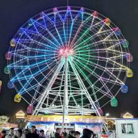 Buy cheap Large Scale Fairground Ferris Wheel / Theme Park Ferris Wheel Height 42m product