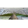 Buy cheap PE protective film customized green house for agriculture anti frost,Venlo Glass Agricultural Green house, SUPPLIES, PAC from wholesalers