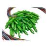 Buy cheap FTTH G657A1 Introduction 72 Core PVC Fiber Optic Cable for Smooth Internet Connection from wholesalers