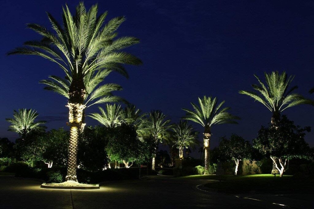 IK08 Customized LED Light DC24V - DC48V LED Palm Tree Light Ring