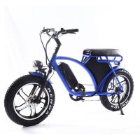 Buy cheap 20 Inch All-in-one Wheel Fat Tire Electric Bike Front Suspension 73 Style 48V product
