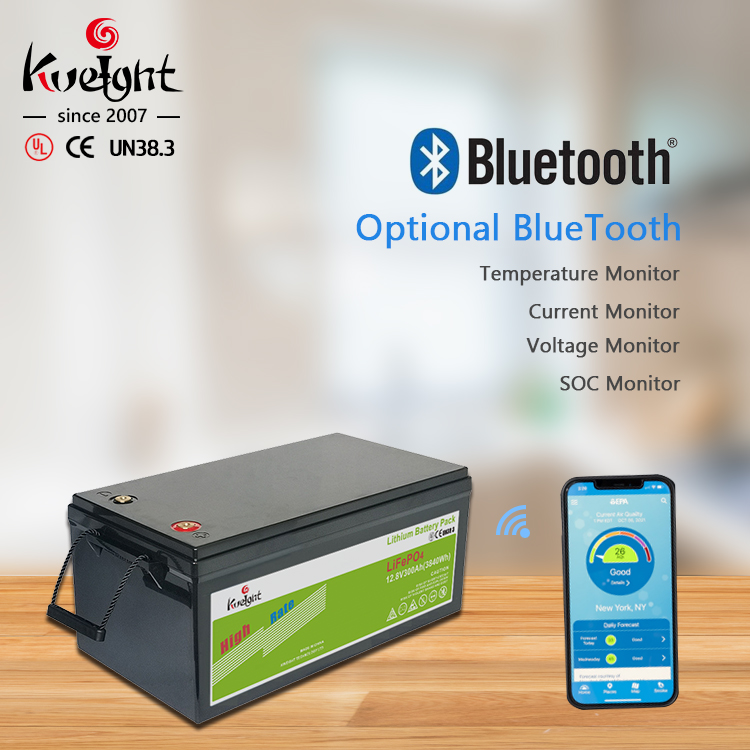 OEM 300ah 12V LiFePO4 Battery Travel Caravan Battery Pack Wireless Charging