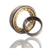 Buy cheap 300*460*74 Straight NJ1060M Cylindrical Roller Bearings from wholesalers