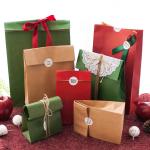 Chrismas Green 125g Kraft Paper Luxury Gift Bags With Ribbon Handles