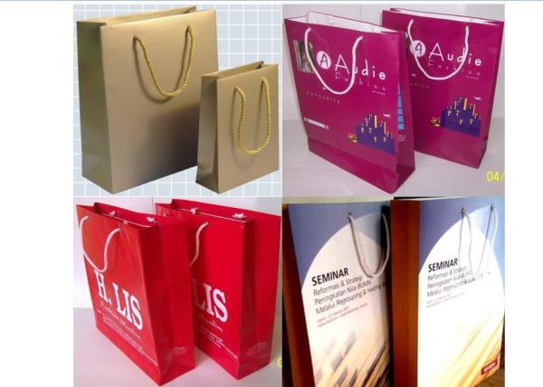 Matt Lamination C2s Paper Packaging Hand Bags, Offset Printing Custom Paper Gift