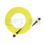 MPO Conncetor 12 Cores SM Standard Loss/Low Loss Fiber Patch Cord for Superior