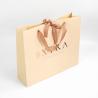 Buy cheap Hand Length Handle Customized Logo Clothing Garment Peach Paper Bag with Ribbon from wholesalers