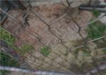 Non Rust 1.6mm Stainless Steel Rope Mesh Ferrule Green Wall Garden Plant Trellis