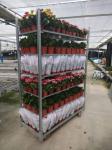 Hot sales danish flower trolley size 1350x565x1900mm, hot dip galvanized