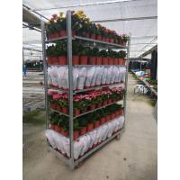 Buy cheap Hot sales danish flower trolley size 1350x565x1900mm, hot dip galvanized product