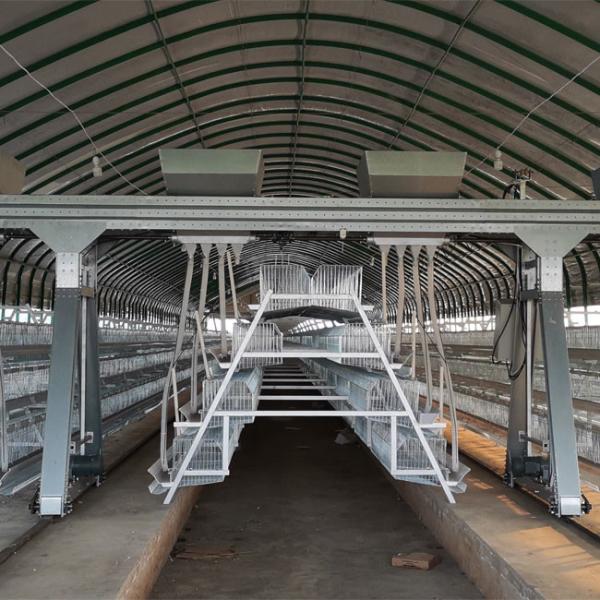 Buy cheap A Type Full Automatic Battery Chicken Cage Cold Galvanized For Farm from wholesalers