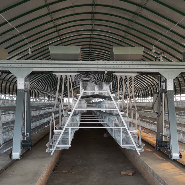 A Type Chicken Layer Cage For Egg Laying Hens