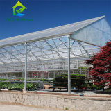 1100*1100*400mm 15cm Wet Wall Exhaust Fans Greenhouse Cooling System