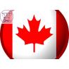 Buy cheap DDP Sea Freight Forwarder China To Canada Shipping Logistics from wholesalers