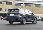New Version Personal Adult Geely Car SUV Gasoline Petrol Oil Fuel 2 WD Car