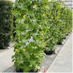 30L 6 8 10 12 Layer Aeroponic Growing Towers Hydroponics Vertical Garden