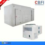 CBFI VCR5070 Blast Chiller Commercial , Air Blast Freezing For Drink / Beer