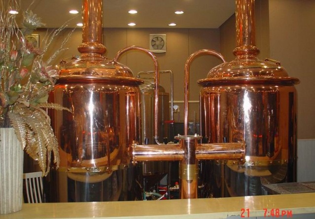 200L restaurant equipment for craft beer brewing