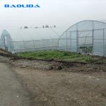 Tropical Plastic Film Cross Top Sawtooth Greenhouse Single Span Tunnel Plastic