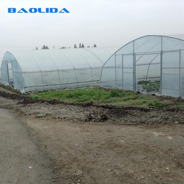 Buy cheap Anti Ultraviolet Large Scale Side Ventilation Plastic Single Span Tunnel Plastic Film Greenhouse from wholesalers