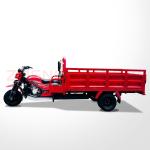250CC Automatic Lifting Cargo Tricycle Motorized Cargo Trike for Customer