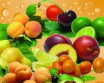 Customization Fruit Puree Production Line Food Grade Stainelss Steel