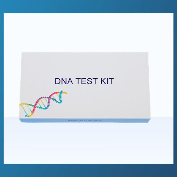 Buy cheap HUACHENYANG DNA Collection Kit Flocked Nylon Tip Swab Kit Paternity Test Kit from wholesalers