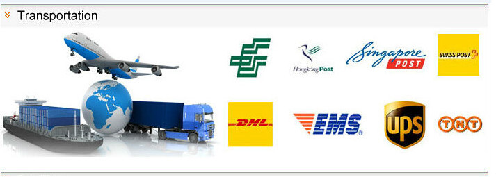 LK300 gps tracker portable vehicle tracking system with sms remote engine stop