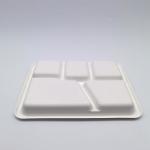 5 Compartment Biodegradable Bagasse Tableware Plates White Color Waterproof