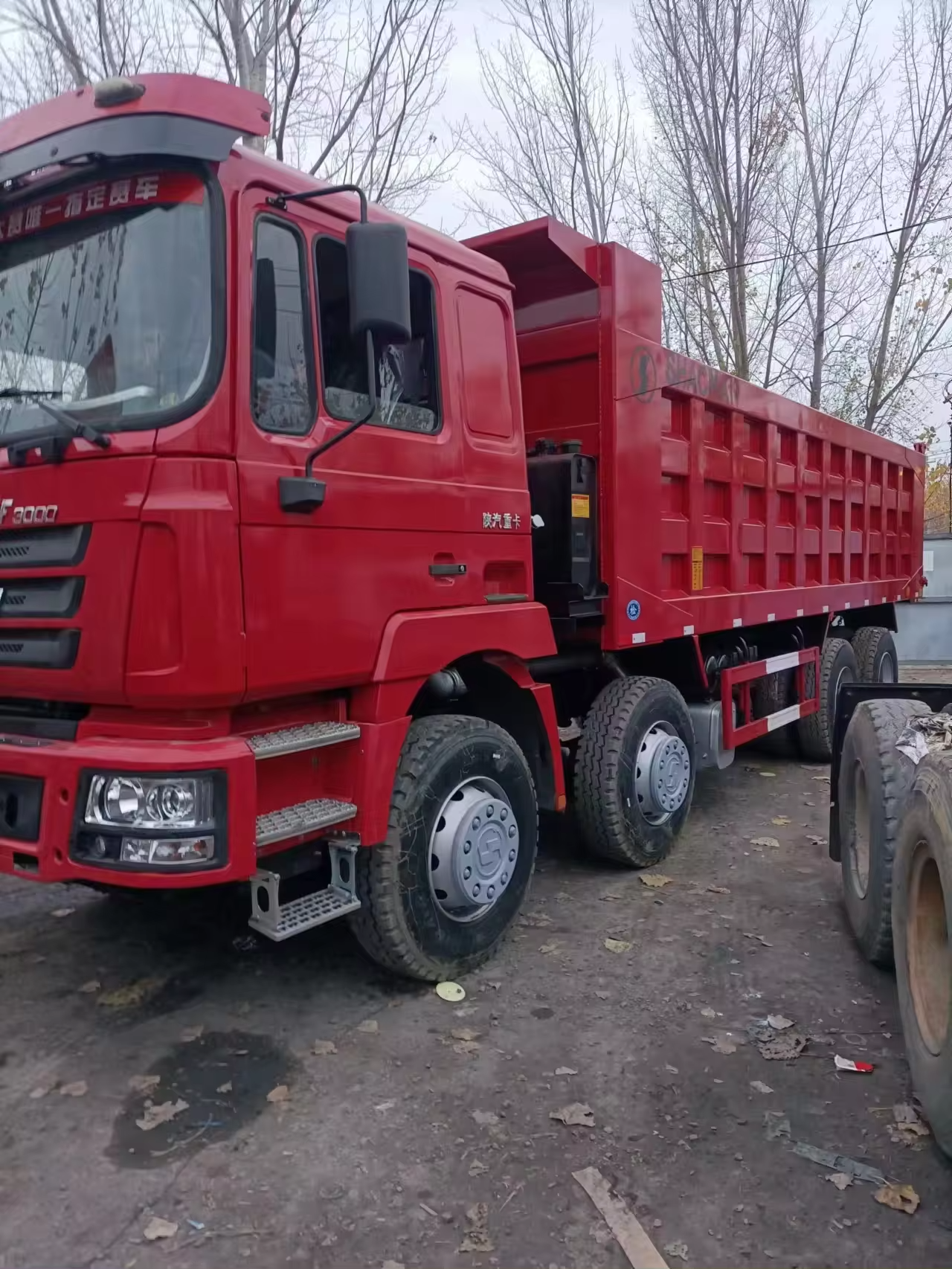 12 Wheels Shacman F3000 8x4 Tipper Truck with Multimedia System and Engine Capacity 8L