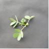 Buy cheap Black 3.2m 50gsm Landscape Fabric Ground Cover from wholesalers