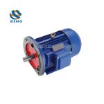 YE3 Three Phase Induction Electric Motor B35 0.55kw-315kw Water Pump Motor
