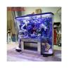 Buy cheap Family Swimming Pool Long 8 Meter Outdoor Massage Spa with Endless Acrylic Glass Pool from wholesalers