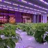 Buy cheap Leafy Greens Container Greenhouse Roofing Sheet JX-A00103 Suitable for Leaf Vegetable from wholesalers