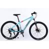 Buy cheap Steel Frame Mountain Bike With Front And Rear Wheel Disc Brake from wholesalers
