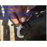 Buy cheap brand new washer, 4110001922006, backhoe loader parts for backhoe B877 from wholesalers